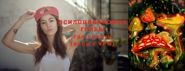 молекула духа Лагань