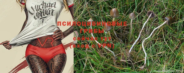 прущая мука Лабытнанги
